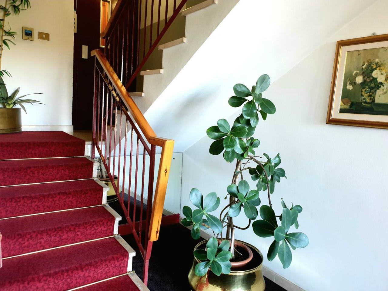 Hotel Paradiso Altedo エクステリア 写真